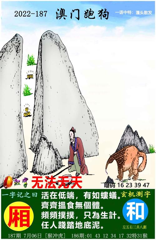 澳门开奖现场开奖直播下载开奖结果,设计策略快速解答_VR型43.237