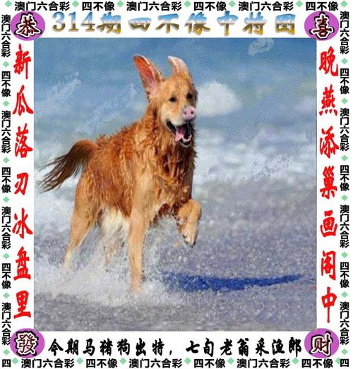 新澳门今天开什么特马,设计策略快速解答_VR型43.237