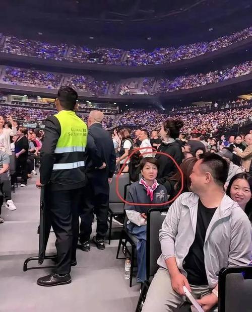 下载澳门新版资料大全下载,设计策略快速解答_整版DKJ656.74