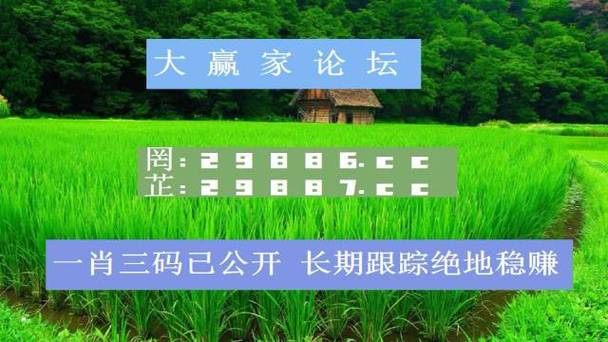 打开澳门精准资料,设计策略快速解答_VR型43.237