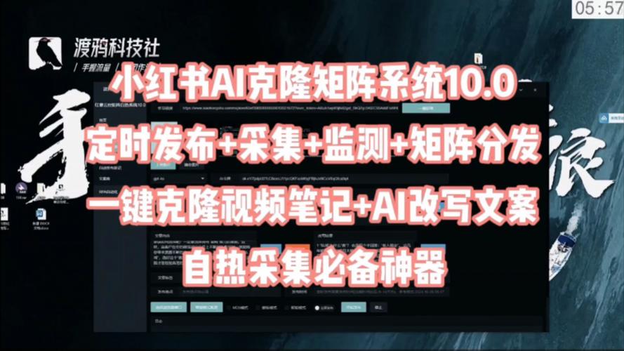 2024年11月26日 第3页
