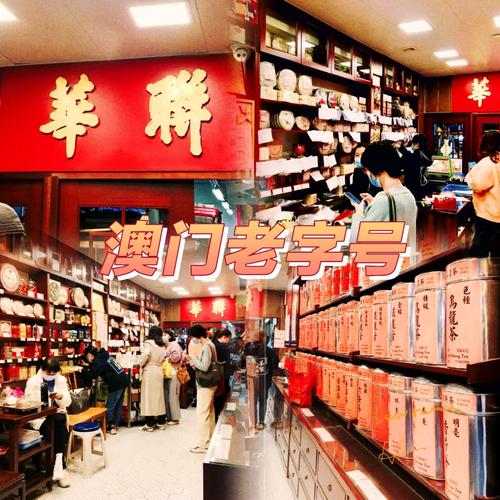 老澳门开奖记录查询今天,设计策略快速解答_整版DKJ656.74