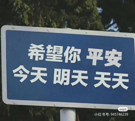 只要你说你爱我,真实经典策略设计_VR型43.237
