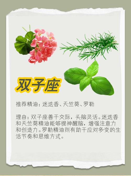 金牛男今日运势最准,设计策略快速解答_VR型43.237