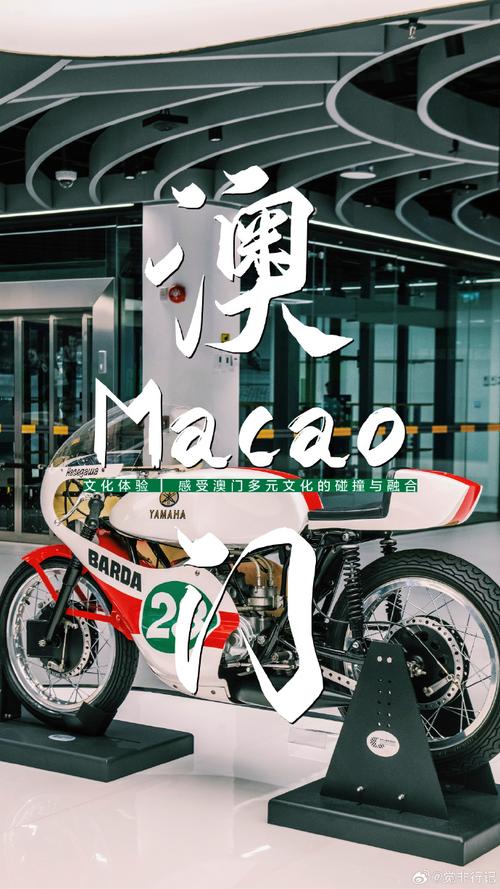 打开澳门资料,绝对策略计划研究_社交版40.12.0