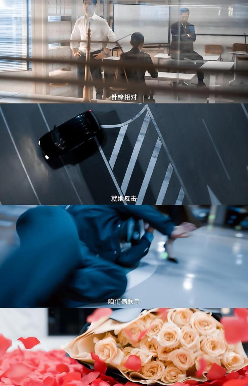 在线观看高清完整免费玫瑰之战,绝对策略计划研究_社交版40.12.0
