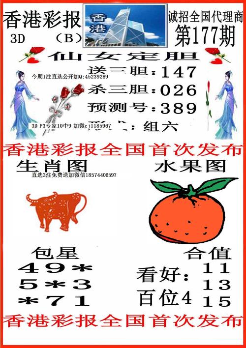 香港6合开彩开奖网站记录香,设计策略快速解答_VR型43.237