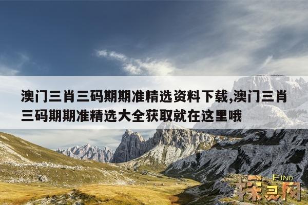 澳门资料大全正版资料查询2022,绝对策略计划研究_社交版40.12.0