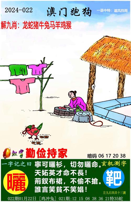 2024年新澳门资料查询,设计策略快速解答_整版DKJ656.74