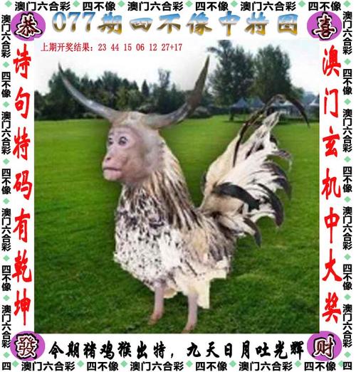 2024年12月19日