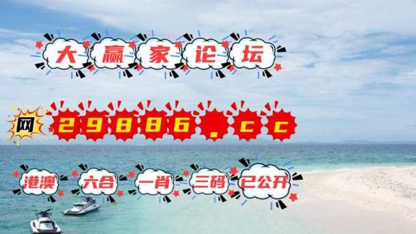 2024年12月20日 第4页