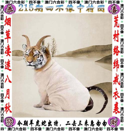 2024年澳门六合和彩,绝对策略计划研究_社交版40.12.0