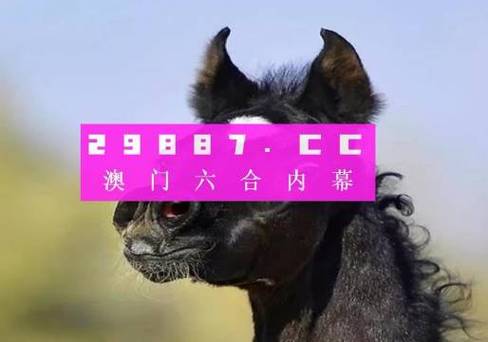 2023澳门资料大全免费完整版新,设计策略快速解答_整版DKJ656.74
