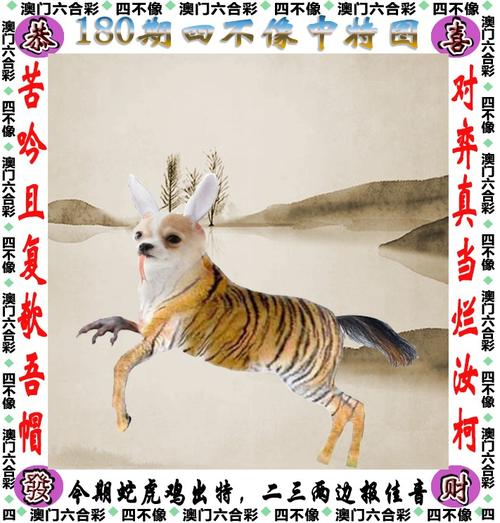 正版免费资料大全准澳门,设计策略快速解答_整版DKJ656.74