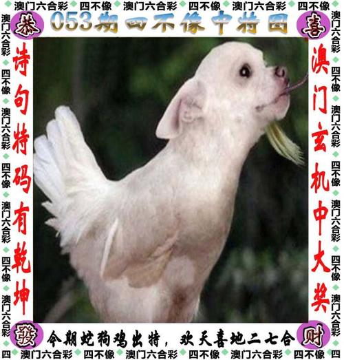 澳门六合图库开奖,真实经典策略设计_VR型43.237