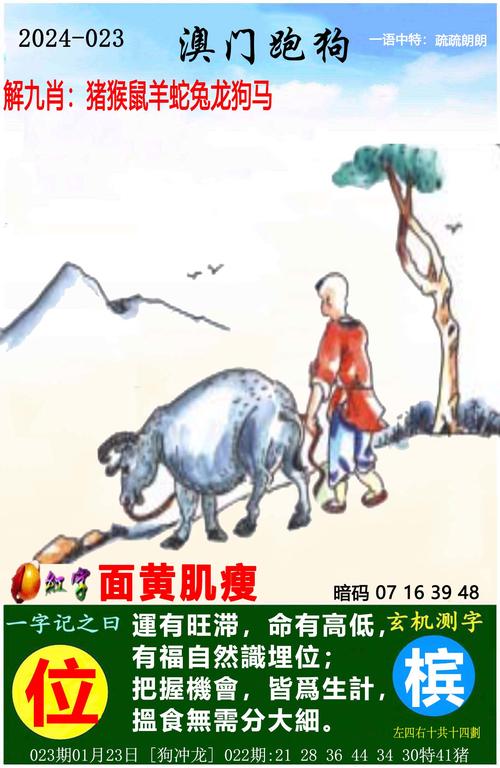 2025年1月16日