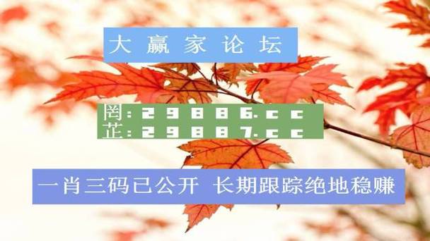 澳彩内部资料期期准,设计策略快速解答_VR型43.237