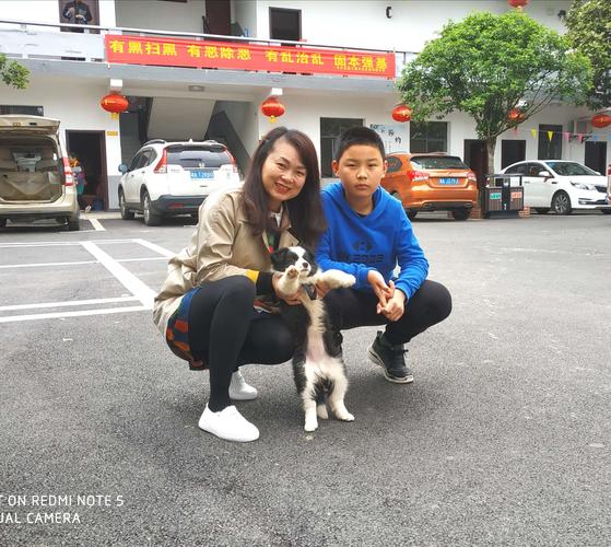 一家老小向前冲,绝对策略计划研究_社交版40.12.0