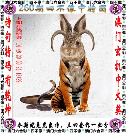 澳门澳彩资料大全下载,设计策略快速解答_VR型43.237
