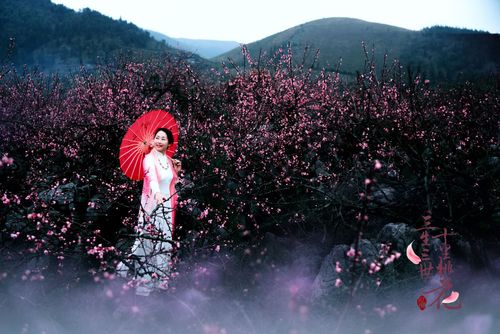 三生三世十里桃花,设计策略快速解答_VR型43.237