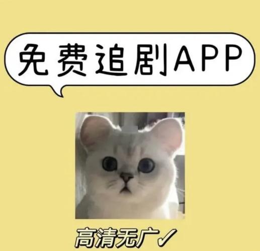 不用vip的免费追剧软件无广告,设计策略快速解答_整版DKJ656.74