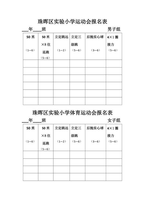 体育比赛报名表,设计策略快速解答_VR型43.237