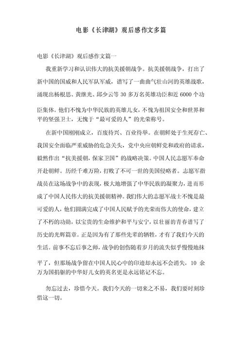 电影网长津湖,设计策略快速解答_整版DKJ656.74