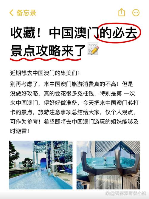 2024年去澳门最新政策,设计策略快速解答_VR型43.237