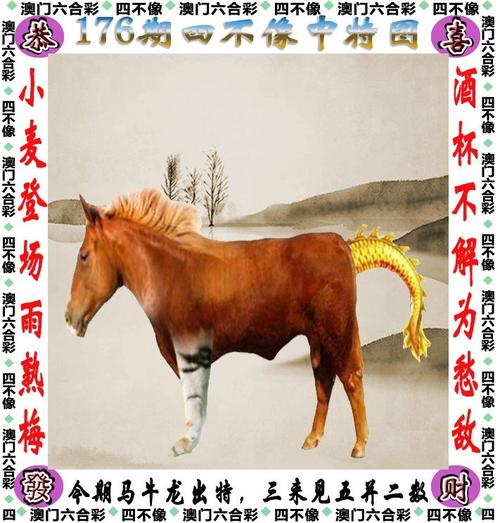 995澳门论坛六码肖六码,设计策略快速解答_整版DKJ656.74