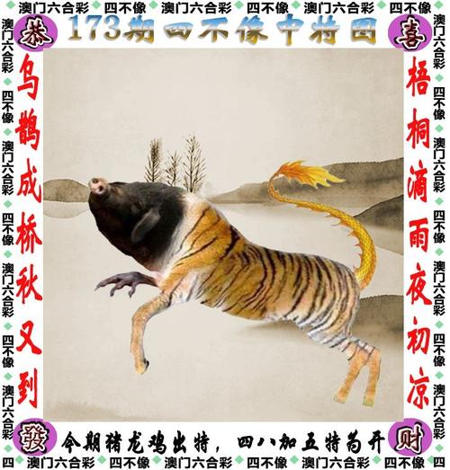 ww澳门开奖澳门,真实经典策略设计_VR型43.237