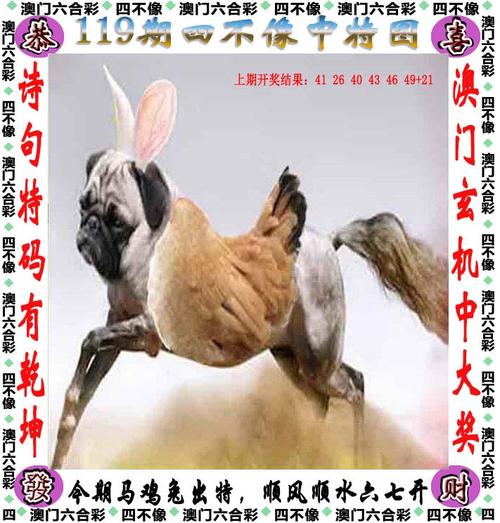 香港特马开什么号码,设计策略快速解答_整版DKJ656.74