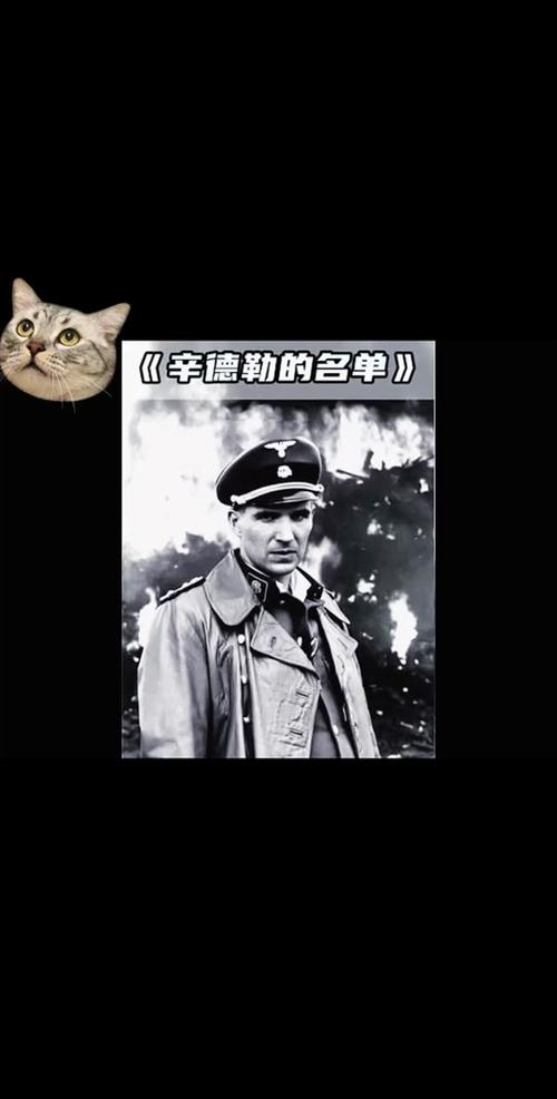 辛德勒的名单,真实经典策略设计_VR型43.237