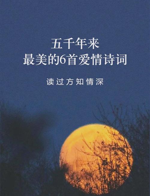 新关于爱情的诗句,设计策略快速解答_VR型43.237