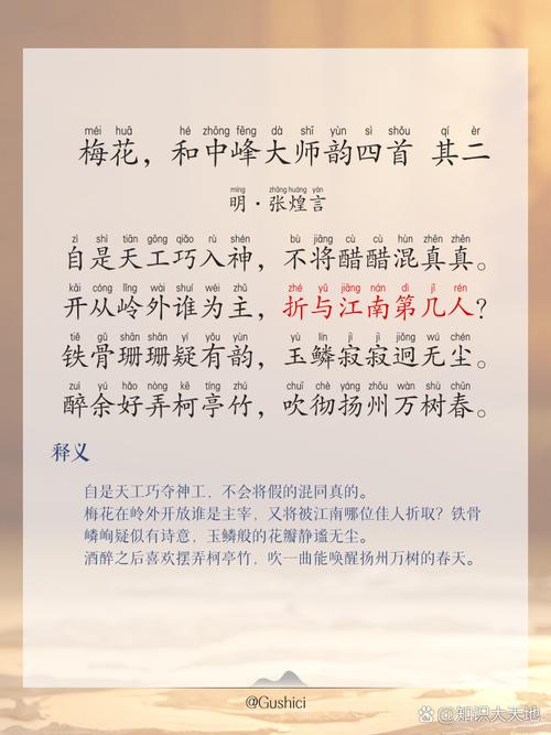 2024澳门正版梅花诗,真实经典策略设计_VR型43.237