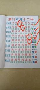澳门精准资料水果奶奶,设计策略快速解答_VR型43.237