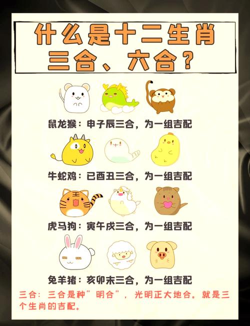 六和彩十二生肖资料2023,设计策略快速解答_整版DKJ656.74