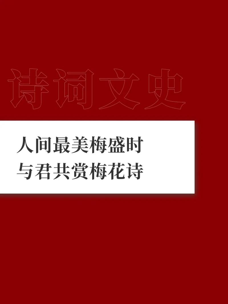 2024澳门正版梅花诗,设计策略快速解答_整版DKJ656.74