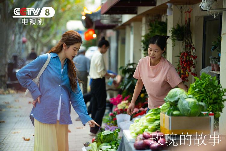 玫瑰故事免费播放,绝对策略计划研究_社交版40.12.0
