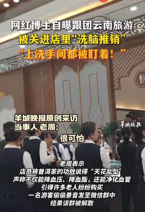 强制游客消费的当事导游道歉,设计策略快速解答_VR型43.237