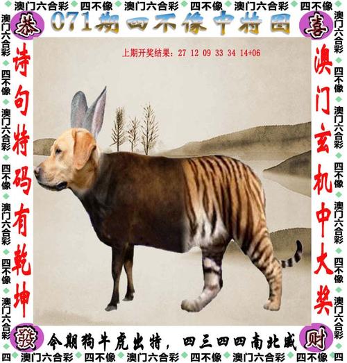 澳门六肖中特,真实经典策略设计_VR型43.237
