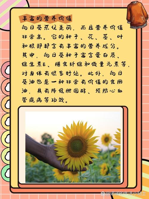 2025年4月1日 第2页