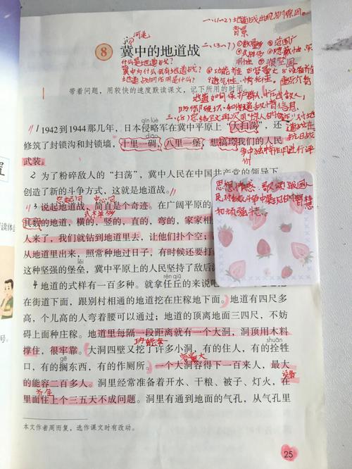 冀中的地道战电影完整版免费观看,设计策略快速解答_整版DKJ656.74