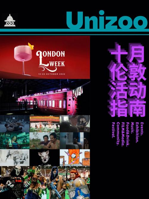 魔法手环在线观看完整版高清电影,设计策略快速解答_VR型43.237