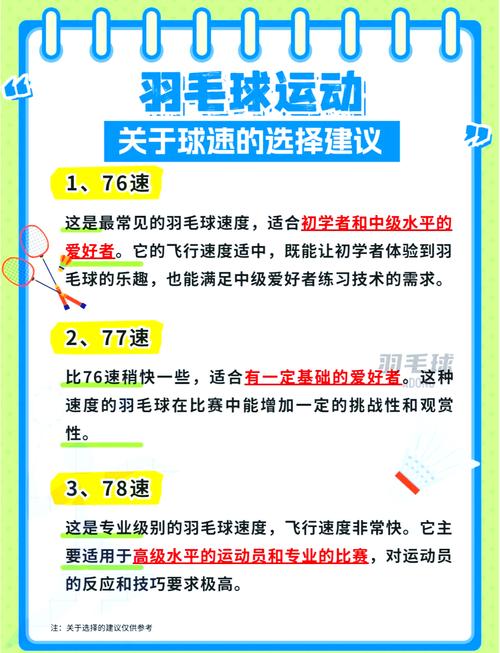 体育羽毛球场,设计策略快速解答_VR型43.237