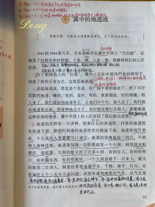 冀中的地道战电影完整版免费观看