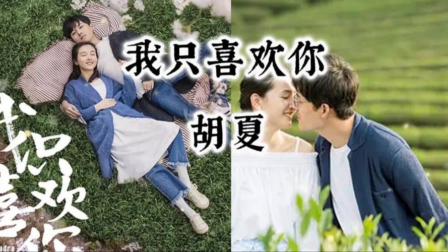 我只喜欢你电视剧免费观看完整版,绝对策略计划研究_社交版40.12.0