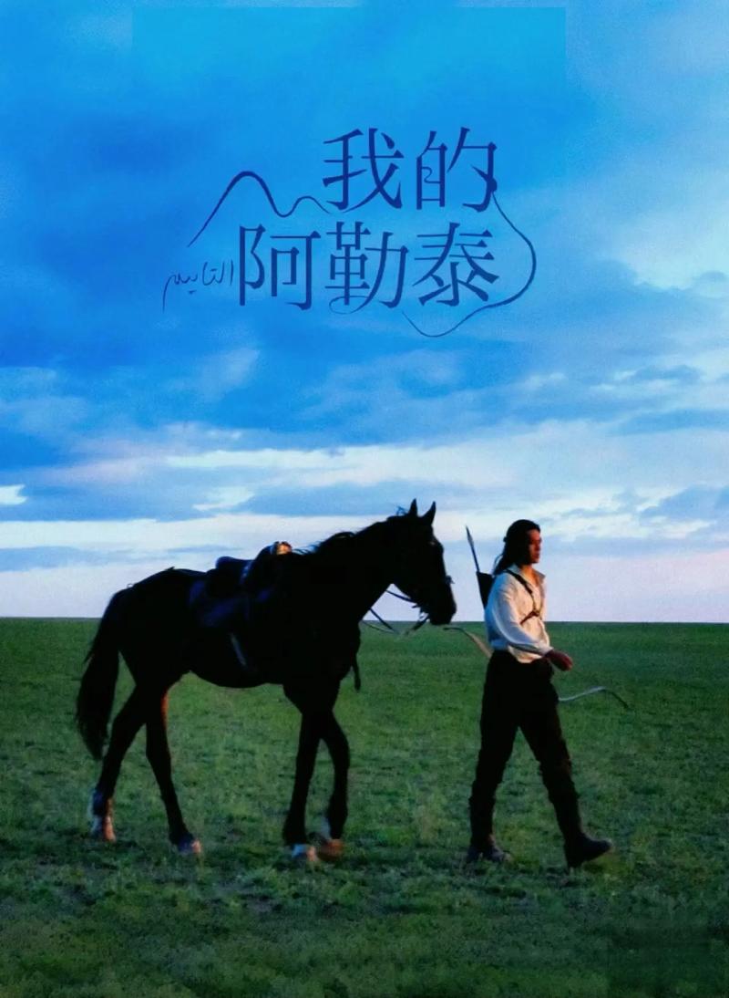 我的阿勒泰电视剧免费观看星辰影院,设计策略快速解答_整版DKJ656.74