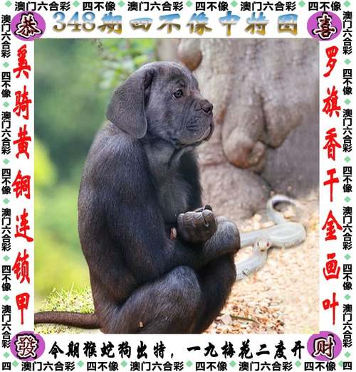 2025年4月14日 第3页