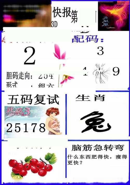 2023年澳门资料赤兔版,真实经典策略设计_VR型43.237