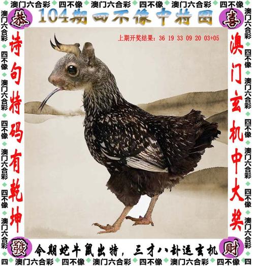 凤凰天机六资料大全,真实经典策略设计_VR型43.237